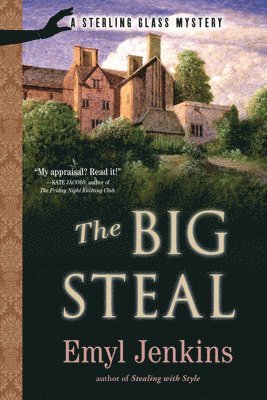 bokomslag Big Steal
