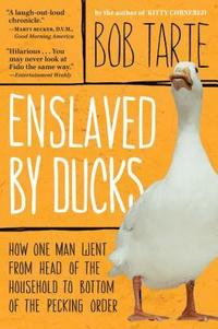 bokomslag Enslaved by Ducks