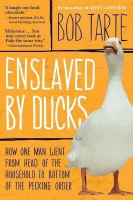 Enslaved by Ducks 1