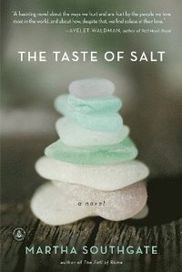 bokomslag The Taste of Salt