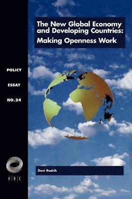 bokomslag New Global Economy and Developing Countries