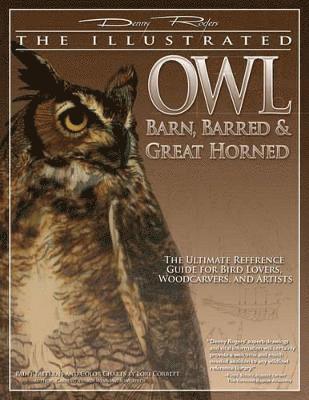 Illustrated Owl: Barn, Barred & Great Horned 1