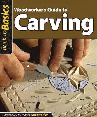 Woodworker's Guide to Carving (Back to Basics) 1