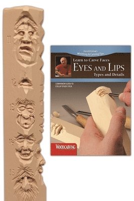 bokomslag Faces Eyes Lips Study Stick Kit