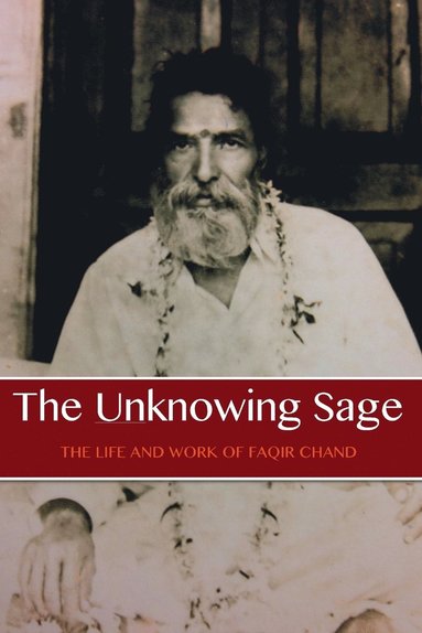 bokomslag The Unknowing Sage