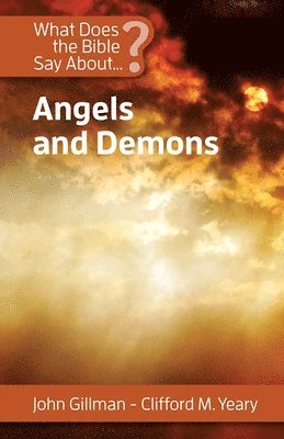 bokomslag What Does the Bible Say about Angels and Demons