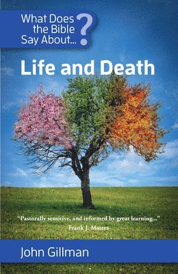 bokomslag What Does the Bible Say about Life and Death