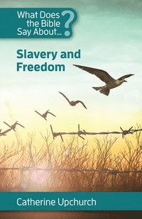 bokomslag What Does the Bible Say about Slavery and Freedom