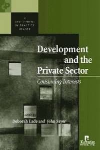 bokomslag Development and the Private Sector