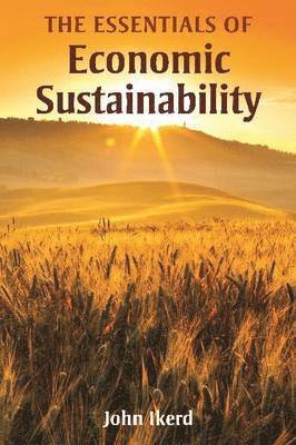 bokomslag Essentials of Economic Sustainability