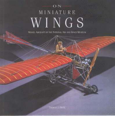 On Miniature Wings 1