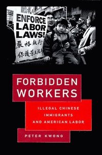 bokomslag Forbidden Workers