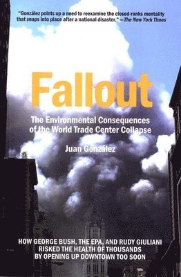 bokomslag Fallout: The Environmental Consequences of the World Trade Center Collapse