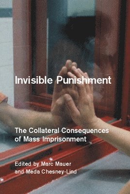 Marc Mauer - Invisible Punishment, Häftad