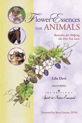 bokomslag Flower Essences For Animals : Remedies For Helping the Pets You Love