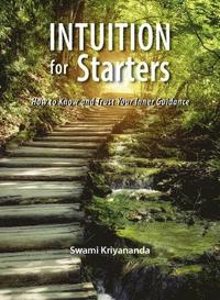 bokomslag Intuition for Starters