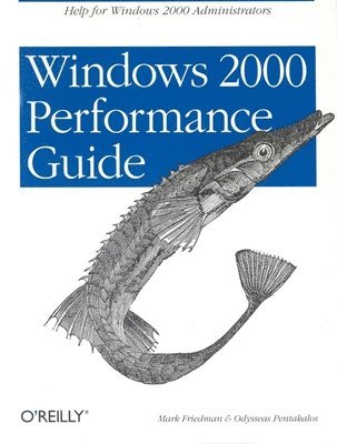 Windows 2000 Performance Guide 1