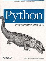 bokomslag Python Programming on WIN32