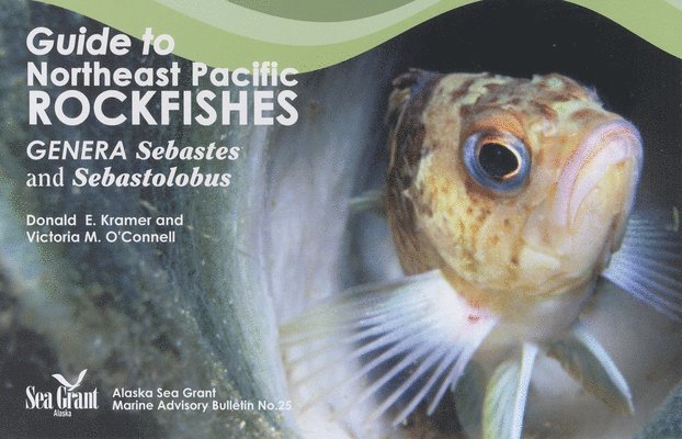 Donald Kramer - Guide to Northeast Pacific Rockfishes, Häftad