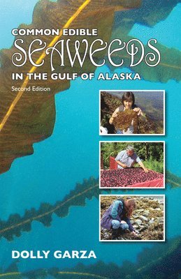 bokomslag Common Edible Seaweeds in the Gulf of Alaska - Second Edition