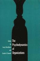 Psychodynamics Organization 1