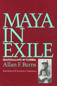 bokomslag Maya In Exile