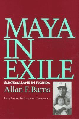 Allan Burns - Maya in Exile, Inbunden