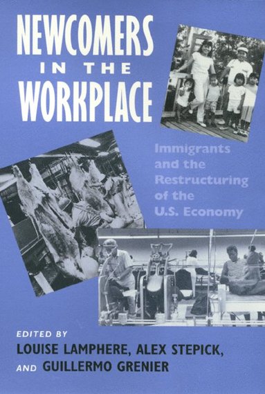bokomslag Newcomers in Workplace