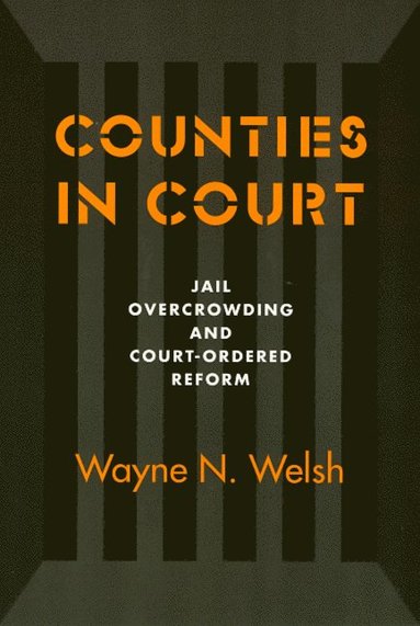 bokomslag Counties in Court