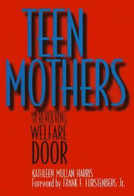 bokomslag Teen Mothers