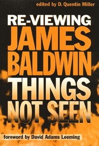 bokomslag Re-Viewing James Baldwin