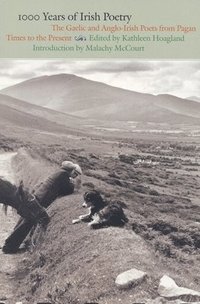 bokomslag 1000 Years Of Irish Poetry