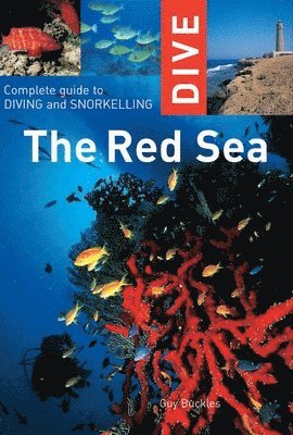 bokomslag Dive the Red Sea: Complete Guide to Diving and Snorkeling