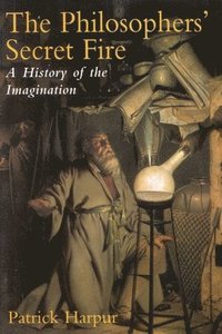 bokomslag The Philosopher's Secret Fire: A History of the Imagination