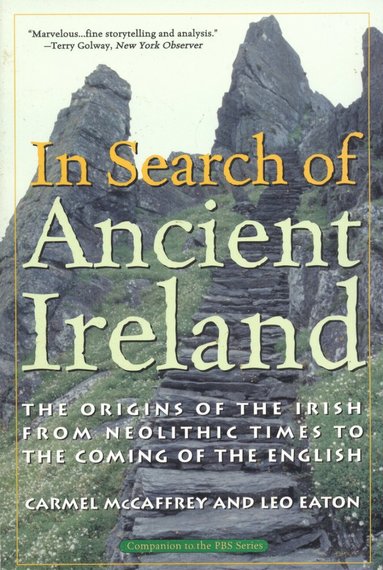 bokomslag In Search of Ancient Ireland