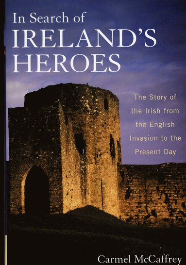 bokomslag In Search of Ireland's Heroes