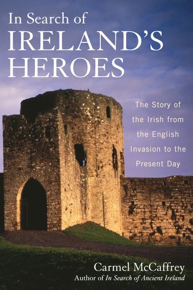 bokomslag In Search of Ireland's Heroes