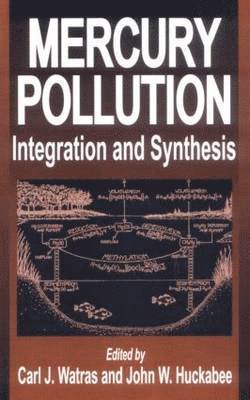 Mercury Pollution Integration and Synthesis 1