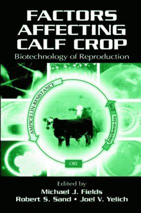 bokomslag Soil Management and Greenhouse Effect