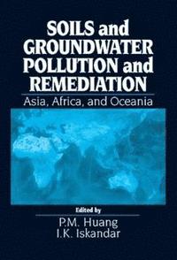 bokomslag Soils and Groundwater Pollution and Remediation