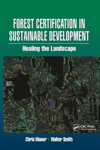 bokomslag Forest Certification in Sustainable Development