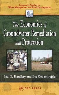 bokomslag The Economics of Groundwater Remediation and Protection