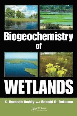 bokomslag Biogeochemistry of Wetlands