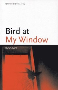 bokomslag Bird at My Window