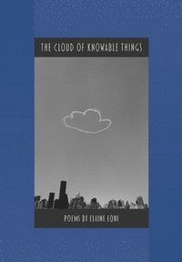 bokomslag The Cloud of Knowable Things