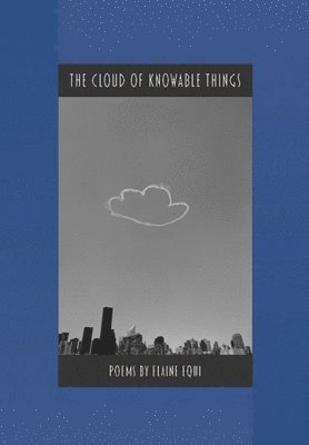 The Cloud of Knowable Things 1