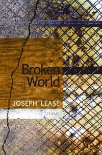 bokomslag Broken World