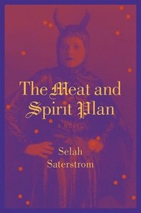bokomslag Meat and Spirit Plan