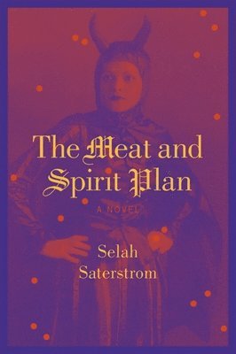 bokomslag Meat and Spirit Plan