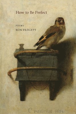 Ron Padgett - How to Be Perfect, Häftad